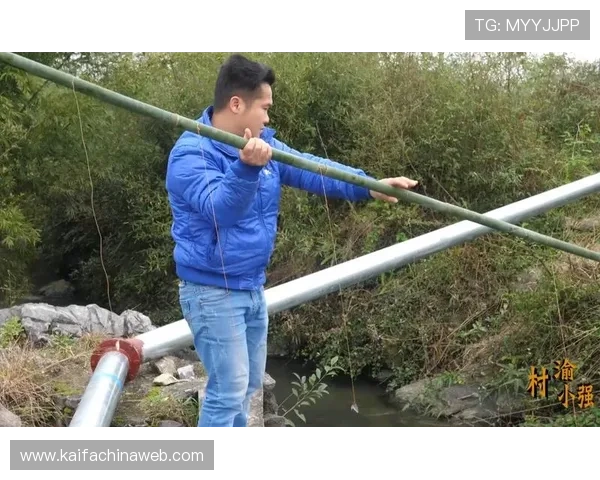 详细介绍K8捕鱼图的玩法策略与常见陷阱,帮助玩家避免失误提升胜率